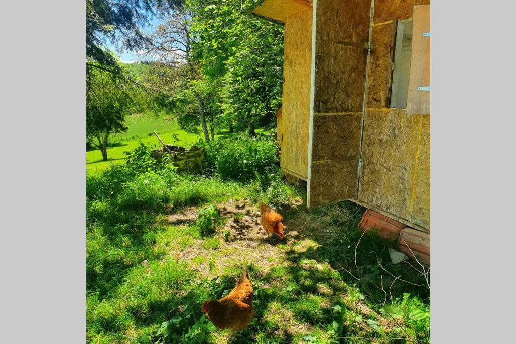 Gîte Les Hauts de Villemaloux Dontreix Extérieur photo